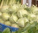 Kohlrabi