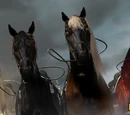 Four Horses of the Apocalypse