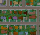 Evergreen Terrace