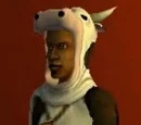 Sinjin Balani