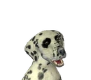 Andy