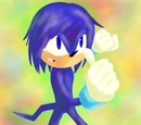 Smash The Echidna