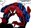 Peter Parker (Earth-11947)