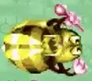 Wasp (Season of Ice)