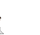 Spinning Bird Kick