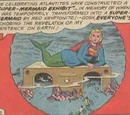 Super-Mermaid Exhibit