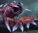 K'lor'slug