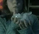 Xylok
