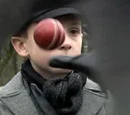 Cricket ball