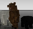 Bears
