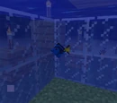 Small fish