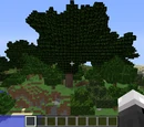 Tutorials