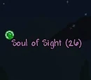 Soul of Sight