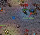 The Inquisition Quest/Spoiler