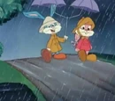 Rainy Daze