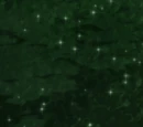 Eco Nori