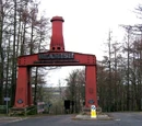 Beamish Open Air Museum