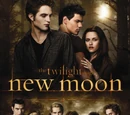 New Moon: The Official Illustrated Movie Companion