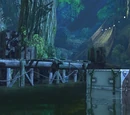 Chapter 1 - Borneo