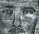 The Bird Road Rapist