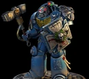 Storm Shield