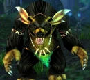 Oakpaw