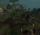Stormwright's Shelf
