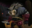 Aggem Thorncurse