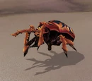 Sand-Husk Scarab