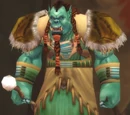 Warsong Shaman