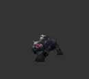 Skarr