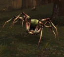Plague Lurker