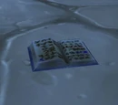 Dusty Journal (Ghostlands)