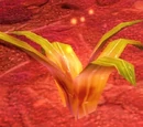 Hellfire Spineleaf