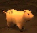 Piglet's Collar