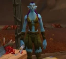 Zamja