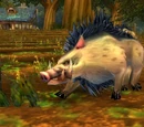 Stonetusk Boar