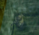 The Legend of Zelda: Ocarina of Time Glitches