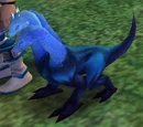Creeper (Pet)