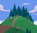 Forest of Trees