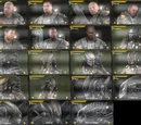 Aliens vs. Predator multiplayer skins