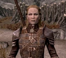 Dawnguard Heavy Armor