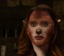 Fuchsbau