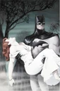 Batman 0404.jpg