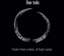 Boar Tusks