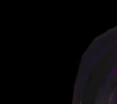 Promotional Sims