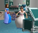 The Sims 2: Family Fun Stuff