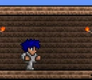 Wood Wall