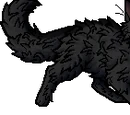 Graystripe