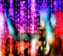 Y-Data